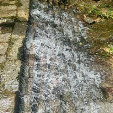 常州+天目湖南山竹海景区+中华恐龙园5日4晚私家团