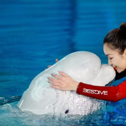 三亚+亚特兰蒂斯5日私家团