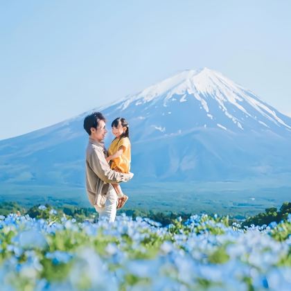 日本东京5日4晚私家团