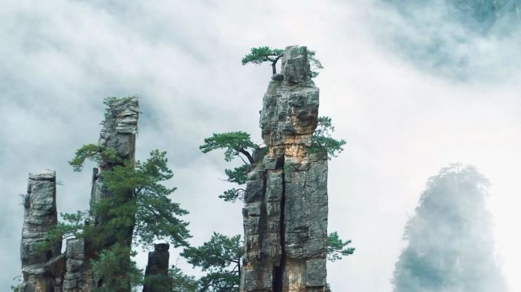 5D4N · Private Tours · Changsha + Zhangjiajie + Tianmen Mountain Glass Walkway + Fenghuang Ancient Town