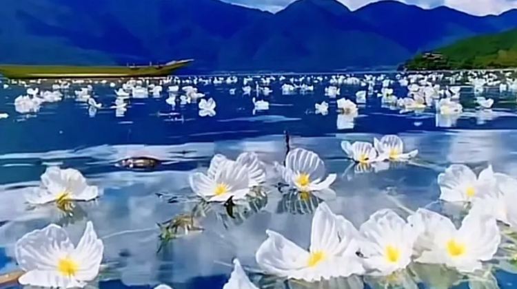 8D7N · Group Tours · Dali Erhai + Lijiang + lugu Lake + Yulong Snow Mount. 8 pax EN group and Exclusive for International Visitors