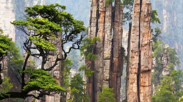 3D2N · Private Tours · Visit Zhangjiajie National Forest Park, Grand Canyon Glass Bridge and Tianmen Mountain, including two nights of 4-diamond accommodation.