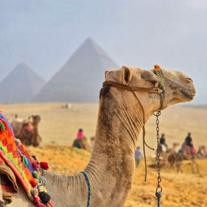 埃及开罗+亚历山大+阿斯旺+阿布辛贝勒神庙+卢克索9日8晚拼小团