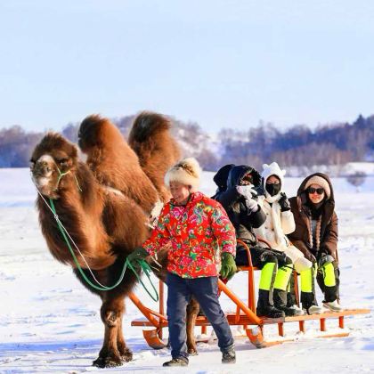 木兰围场+乌兰布统+塞罕坝3日2晚跟团游