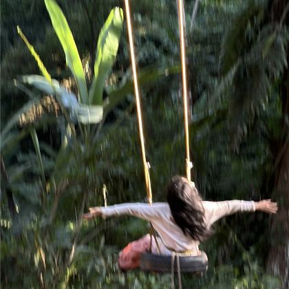 西双版纳+普洱6日5晚跟团游