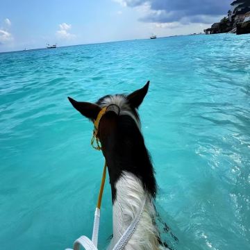 毛里求斯+留尼汪（法属）+塞舌尔13日12晚私家团