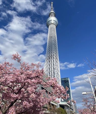 5天4晚 • 【關東精選之旅】東京+浪漫橫濱夜景+絕景富士山湖+藝術箱根秘境+夢幻teamLab