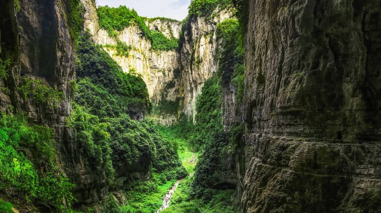 5D4N · Group Tours · A deep dive into Jinfo Mountain, the Three Natural Bridges, and the city's heart – Fall from the grassy sea into the dazzling sea of lights at Jiefangbei