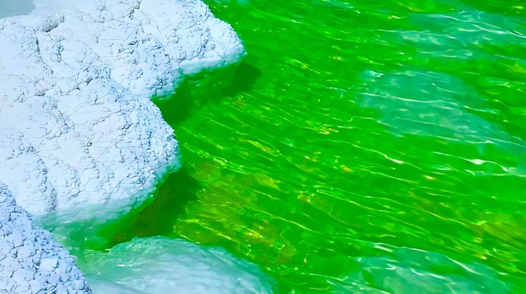 <7天>【西宁+青海湖景区+茶卡盐湖+察尔汗盐湖+敦煌+张掖】·外宾专享+全程4钻酒店+莫高窟A票+金钻沙漠露营+独立卫浴+必消门票景交全含+青甘大环线