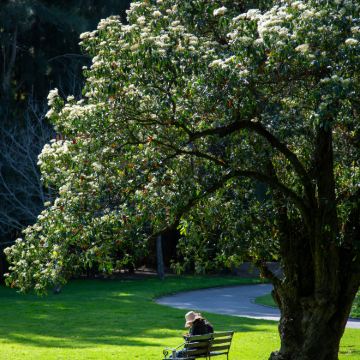 阿德莱德8日7晚私家团