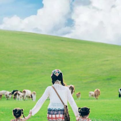 木兰围场+乌兰布统旅游区+塞罕坝国家森林公园3日2晚拼小团