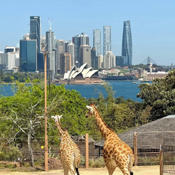 澳大利亚墨尔本+堪培拉+悉尼+奥尔伯里8日6晚跟团游