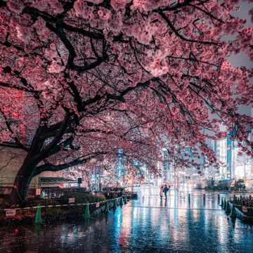 日本名古屋+东京+大阪6日5晚私家团