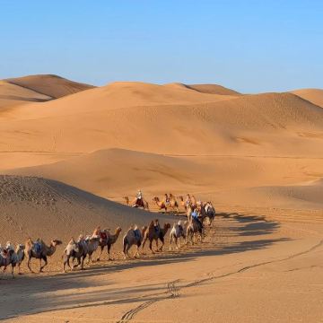 镇北台长城景区+石峁遗址+响沙湾5日4晚私家团