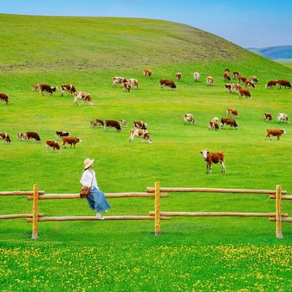 呼伦贝尔+漠河9日8晚私家团