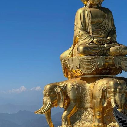 成都+峨眉山+乐山大佛+眉山三苏祠博物馆2日1晚拼小团