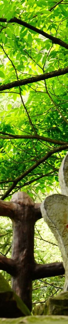 黄石寨索道-张家界