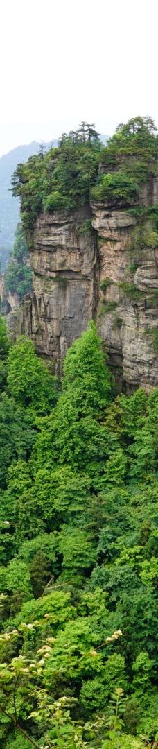 黄石寨索道-张家界