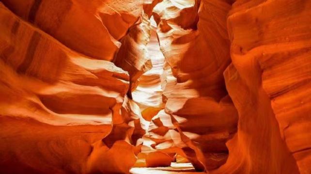 8-Day National Parks Tour from San Francisco· Zion, Bryce, Canyonlands, Arches, Grand Canyon National Park | 1 Optional Day Tours Available