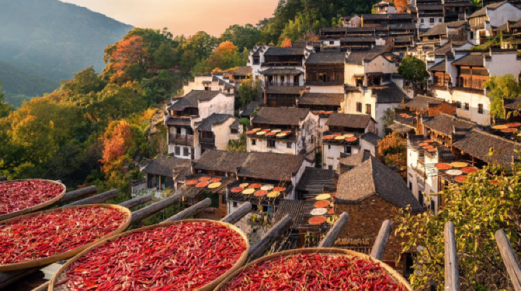 5D4N · Group Tours · JiangxiLushan National Park + Jingdezhen + Sanqingshan Mount Scenic Area + Wuyuan + Vagoo Scenic Area