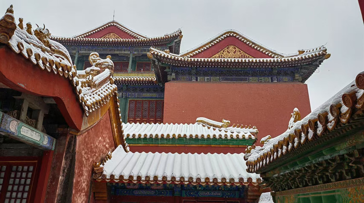 博物馆讲解  · 北京故宫半日亲子营  了解古人建筑理念，趣味解读明清王朝统治更迭的秘密 鉴赏宫殿之美，了解古人的统治理念及礼仪等级，认识故宫的文化传承精神·博物馆讲解  · 北京故宫半日亲子营  了解古人建筑理念，趣味解读明清王朝统治更迭的秘密 鉴赏宫殿之美，了解古人的统治理念及礼仪等级，认识故宫的文化传承精神