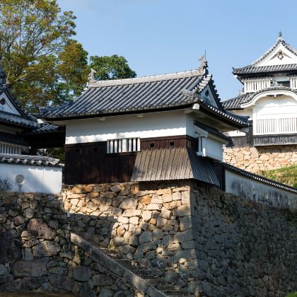 日本四国+高松+高知市+松山7日6晚私家团