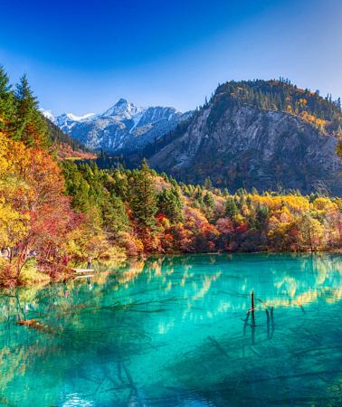 7D6N•Chengdu, Pandas, Jiuzhaigou, Huanglong, Leshan Giant Buddha & Mount Emei - 4 UNESCO Sites - Airport transfer, High-Speed Rail & All Tickets Included