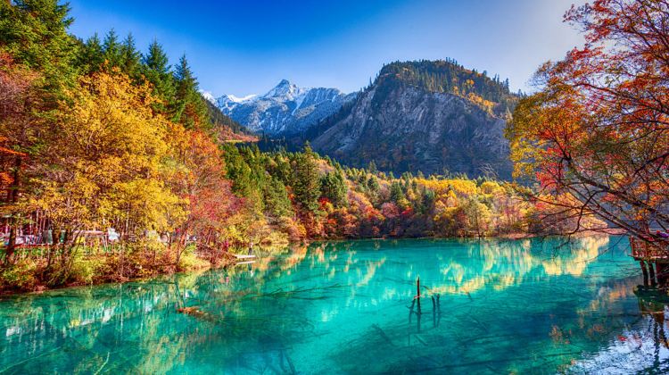 5D4N · Private Tours · Chengdu Deep Dive - Jiuzhaigou, Pandas, Sanxingdui Museum, Dujiangyan, Wuhou Shrine & Du Fu Thatched Cottage