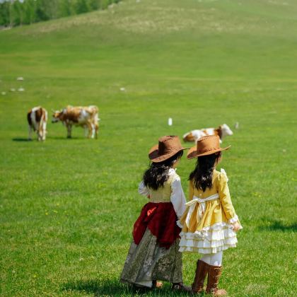 木兰围场+乌兰布统草原+坝上3日2晚拼小团
