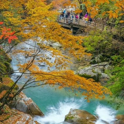 成都+三星堆博物馆+光雾山+九寨沟风景区+黄龙风景名胜区9日8晚私家团