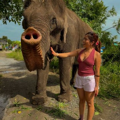泰国曼谷3日2晚自由行