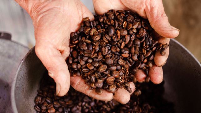 11-Day Mayan Trail Tour·Playa del Carmen, Mérida, Palenque, Panajachel, Antigua | Max 16 Guests