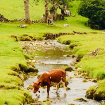 曼彻斯特+约克+格拉辛顿+霍沃思+惠特百+纳尔斯伯勒6日5晚拼小团