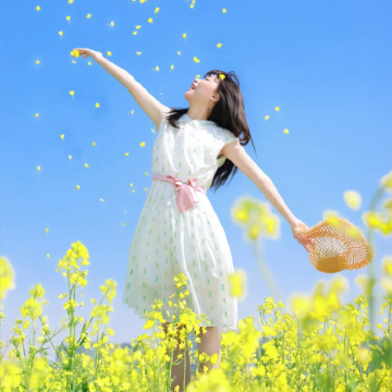 云南昆明+建水+弥勒+罗平+抚仙湖6日5晚私家团