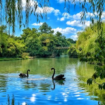 江苏4日3晚自由行