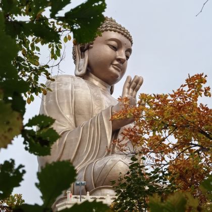 哈尔滨+长白山+丹东+沈阳8日7晚私家团