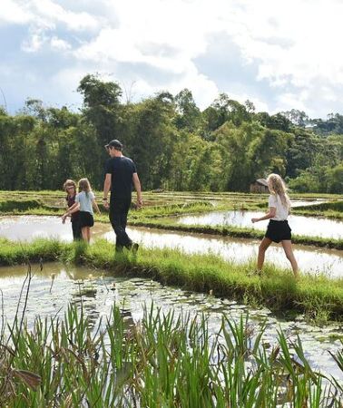 5D4N • Labuan Bajo Countryside Tour