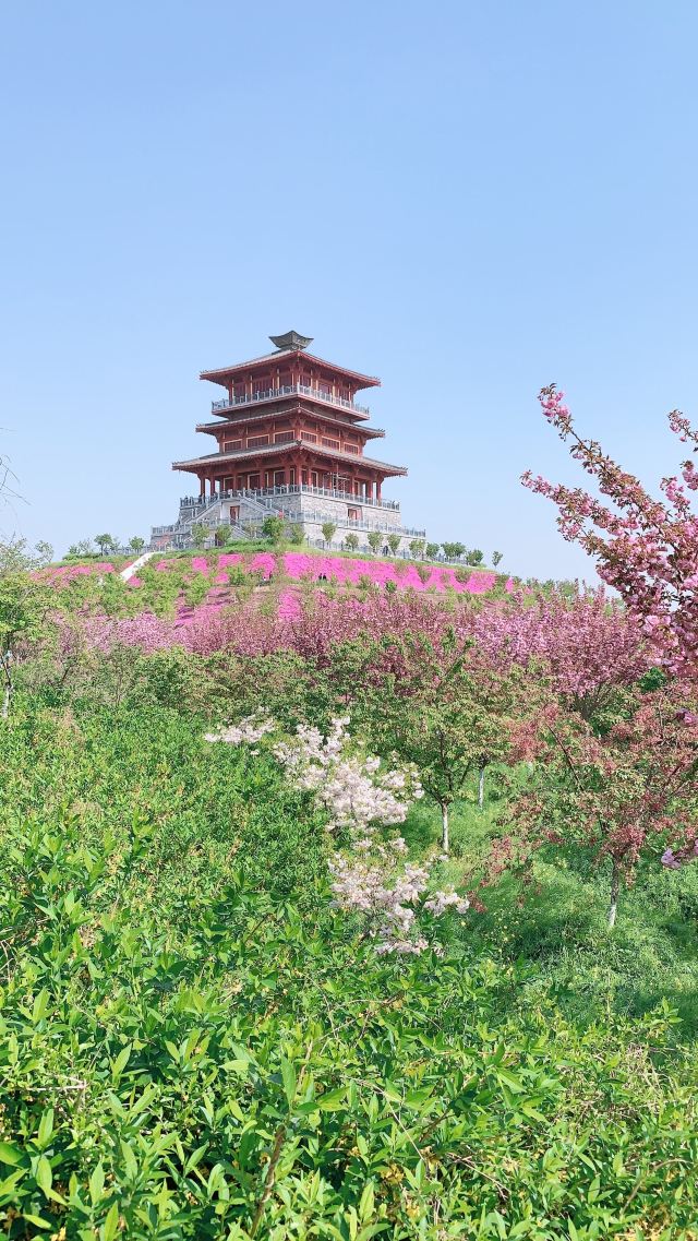 古柏渡丰乐樱花园