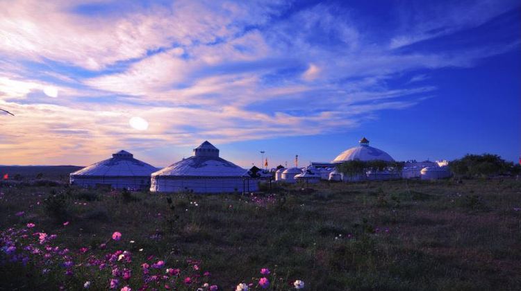 6-day 5-night · Private Tour · Hohhot + Ordos Prairie + Whistling Dune Bay + Kubuqi Desert