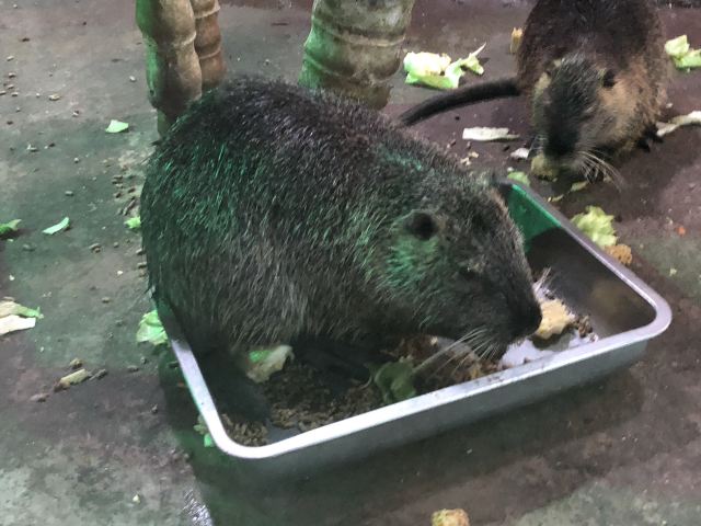 邯郸·海洋世界旅行图片 2