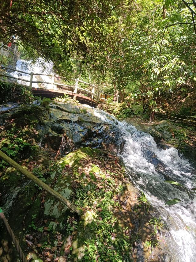 皇龙大峡谷旅行图片 3
