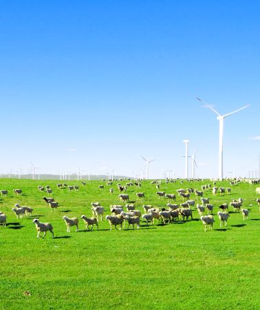 3D2N • Inner Mongolia Hohhot + Huitengxile Grassland + Wulanhada Volcano Geopark