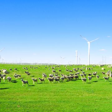 呼和浩特+希拉穆仁草原+响沙湾+乌兰哈达火山地质公园3日2晚跟团游