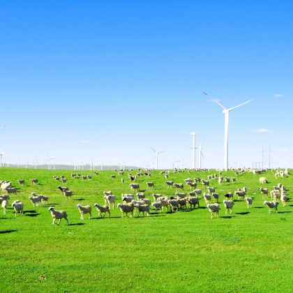 呼和浩特+辉腾锡勒草原+响沙湾5日4晚跟团游