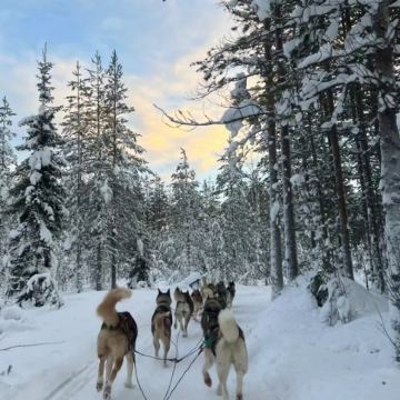 芬兰罗瓦涅米+凯米+列维6日5晚私家团