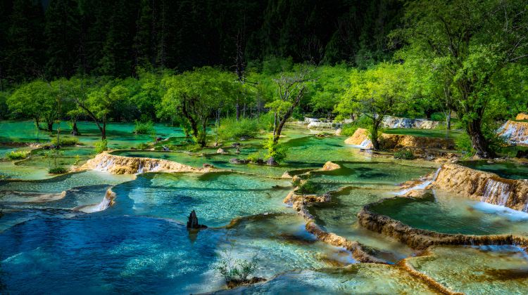 6-Day 6-day 5-night · Private Tour · Chengdu + Jiuzhaigou + Huanglong National Scenic Area + Sanxingdui Museum