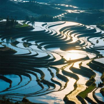 云南昆明+抚仙湖+建水+元阳+蒙自4日3晚私家团