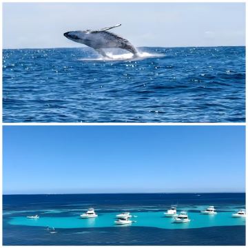 凯恩斯+布里斯班6日5晚私家团