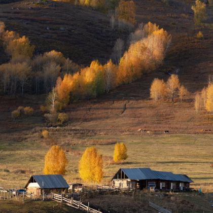 新疆乌鲁木齐+北疆10日9晚私家团