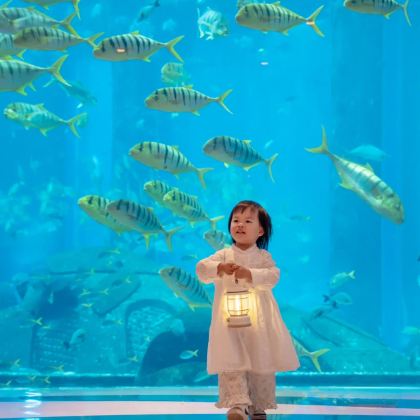 三亚+亚特兰蒂斯5日4晚拼小团